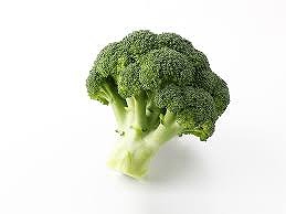 東京都荒川区に「ルミナス日暮里店」が4月20日にグランドオープンへ！
 | やっちまった速報(最新記事1)