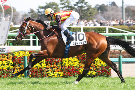 【噂】サミー「Lリコリス・リコイル」導入は8月3日予定！？
 | やっちまった速報(最新記事3)