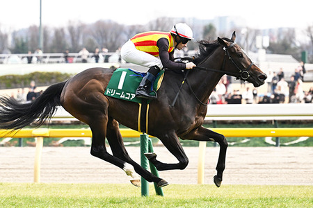 【桜花賞】スターアニス強すぎワロタwwwwww
 | やっちまった速報(ピックアップ6)