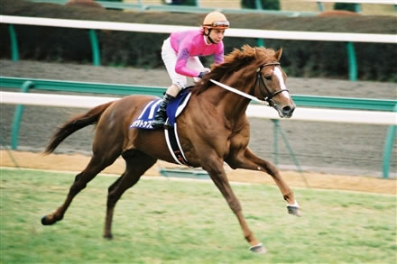 今パチ屋で10万負けてるけど質問ある？
 | やっちまった速報(最新記事15)