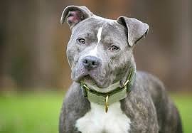 小野田紀美大臣「某麦わらの方も『何が嫌いかじゃなく何を好きかで自分を語れ』って言ってる。それが正しいわ！」
 | やっちまった速報(最新記事3)