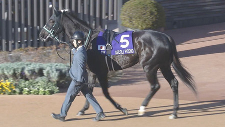 小野田紀美大臣「某麦わらの方も『何が嫌いかじゃなく何を好きかで自分を語れ』って言ってる。それが正しいわ！」
 | やっちまった速報(最新記事1)
