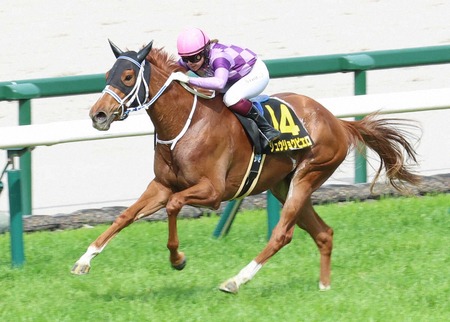 パチンコ店の「おすすめ告知」の価値が低下している理由がこちら
 | やっちまった速報(ピックアップ6)