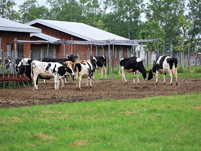 【悲報】牛さん農家ワイんち、ついに終わる・・・・・・・ | やっちまった速報(画像14063319959088_1) 【悲報】牛さん農家ワイんち、ついに終わる・・・・・・・ | やっちまった速報(画像14063319959088_1)