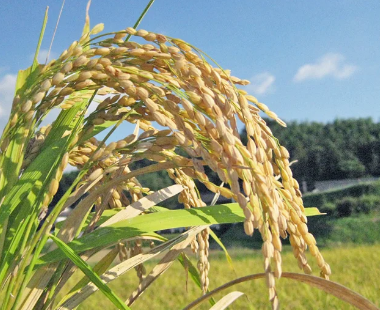 【画像】爆乳
 | やっちまった速報(ピックアップ6)