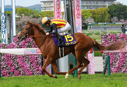 サウジでウシュバに勝ったセニョールバスカドールまた負けた | やっちまった速報(最新記事6)