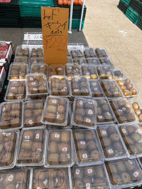 【悲報】日本人の「フルーツ離れ」ガチで深刻になる・・・・・ | 【悲報】日本人の「フルーツ離れ」ガチで深刻になる・・・・・ | 【悲報】日本人の「フルーツ離れ」ガチで深刻になる・・・・・ | 【悲報】日本人の「フルーツ離れ」ガチで深刻になる・・・・・ | 【悲報】日本人の「フルーツ離れ」ガチで深刻になる・・・・・ | 【悲報】日本人の「フルーツ離れ」ガチで深刻になる・・・・・ | 【悲報】日本人の「フルーツ離れ」ガチで深刻になる・・・・・ | やっちまった速報(画像17012349832174_7)