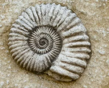 育児楽しいのに、なんでお前ら子供産まないの？
 | やっちまった速報(最新記事1)