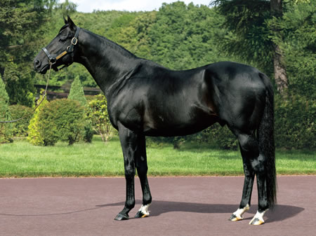 【悲報】コロコロコミック、ドラえもん連載終了してしまう・・・
 | やっちまった速報(最新記事1)