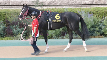 やっちまった速報(最新記事14)