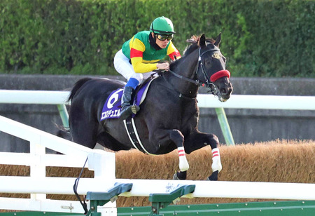 【中山グランドJ】障害転向2戦2勝圧勝のホウオウプロサンゲ　ネット競馬予想単勝オッズ5.8倍
 | やっちまった速報(最新記事3)