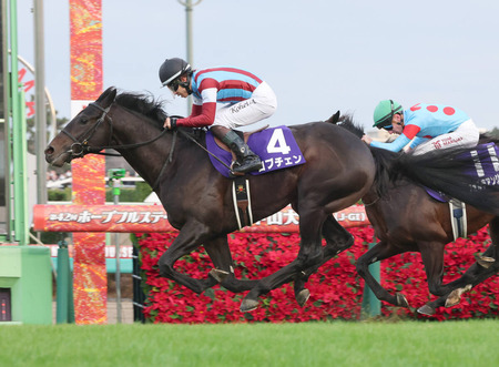 全盛期オジュウチョウサンとエコロデュエルはどっちが強いの？
 | やっちまった速報(最新記事3)