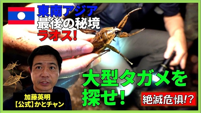 【悲報】ラオスで日本の大量のおっさんが児童強姦で逮捕されてしまう・・・・ | 【悲報】ラオスで日本の大量のおっさんが児童強姦で逮捕されてしまう・・・・ | 【悲報】ラオスで日本の大量のおっさんが児童強姦で逮捕されてしまう・・・・ | 【悲報】ラオスで日本の大量のおっさんが児童強姦で逮捕されてしまう・・・・ | 【悲報】ラオスで日本の大量のおっさんが児童強姦で逮捕されてしまう・・・・ | 【悲報】ラオスで日本の大量のおっさんが児童強姦で逮捕されてしまう・・・・ | やっちまった速報(画像21092458097405_6)