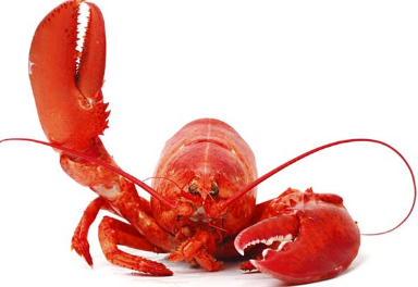 【動画】ロマサガ２リメイク、早くも裸MODが作られてしまうwwww | やっちまった速報(最新記事1)