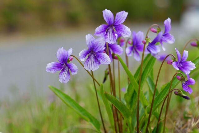 【画像】グラドル界、バスト130Mカップの大型新人が現れるｗｗｗｗｗｗ | 【画像】グラドル界、バスト130Mカップの大型新人が現れるｗｗｗｗｗｗ | 【画像】グラドル界、バスト130Mカップの大型新人が現れるｗｗｗｗｗｗ | 【画像】グラドル界、バスト130Mカップの大型新人が現れるｗｗｗｗｗｗ | 【画像】グラドル界、バスト130Mカップの大型新人が現れるｗｗｗｗｗｗ | 【画像】グラドル界、バスト130Mカップの大型新人が現れるｗｗｗｗｗｗ | 【画像】グラドル界、バスト130Mカップの大型新人が現れるｗｗｗｗｗｗ | 【画像】グラドル界、バスト130Mカップの大型新人が現れるｗｗｗｗｗｗ | 【画像】グラドル界、バスト130Mカップの大型新人が現れるｗｗｗｗｗｗ | 【画像】グラドル界、バスト130Mカップの大型新人が現れるｗｗｗｗｗｗ | 【画像】グラドル界、バスト130Mカップの大型新人が現れるｗｗｗｗｗｗ | 【画像】グラドル界、バスト130Mカップの大型新人が現れるｗｗｗｗｗｗ | 【画像】グラドル界、バスト130Mカップの大型新人が現れるｗｗｗｗｗｗ | 【画像】グラドル界、バスト130Mカップの大型新人が現れるｗｗｗｗｗｗ | 【画像】グラドル界、バスト130Mカップの大型新人が現れるｗｗｗｗｗｗ | 【画像】グラドル界、バスト130Mカップの大型新人が現れるｗｗｗｗｗｗ | 【画像】グラドル界、バスト130Mカップの大型新人が現れるｗｗｗｗｗｗ | 【画像】グラドル界、バスト130Mカップの大型新人が現れるｗｗｗｗｗｗ | 【画像】グラドル界、バスト130Mカップの大型新人が現れるｗｗｗｗｗｗ | 【画像】グラドル界、バスト130Mカップの大型新人が現れるｗｗｗｗｗｗ | やっちまった速報(画像23072525906427_20)