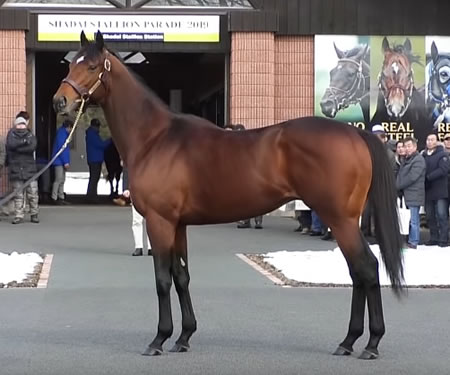 やっちまった速報(最新記事14)