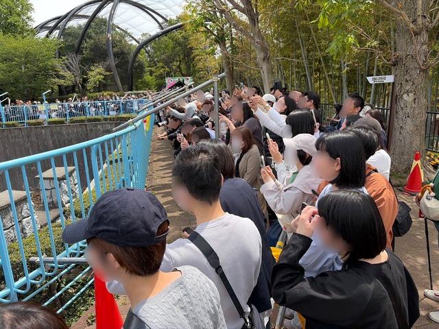 【悲報】中国、アメリカにパンダを貸与する事が決定するｗｗｗｗｗｗｗｗ | 【悲報】中国、アメリカにパンダを貸与する事が決定するｗｗｗｗｗｗｗｗ | 【悲報】中国、アメリカにパンダを貸与する事が決定するｗｗｗｗｗｗｗｗ | 【悲報】中国、アメリカにパンダを貸与する事が決定するｗｗｗｗｗｗｗｗ | 【悲報】中国、アメリカにパンダを貸与する事が決定するｗｗｗｗｗｗｗｗ | 【悲報】中国、アメリカにパンダを貸与する事が決定するｗｗｗｗｗｗｗｗ | 【悲報】中国、アメリカにパンダを貸与する事が決定するｗｗｗｗｗｗｗｗ | 【悲報】中国、アメリカにパンダを貸与する事が決定するｗｗｗｗｗｗｗｗ | 【悲報】中国、アメリカにパンダを貸与する事が決定するｗｗｗｗｗｗｗｗ | 【悲報】中国、アメリカにパンダを貸与する事が決定するｗｗｗｗｗｗｗｗ | 【悲報】中国、アメリカにパンダを貸与する事が決定するｗｗｗｗｗｗｗｗ | 【悲報】中国、アメリカにパンダを貸与する事が決定するｗｗｗｗｗｗｗｗ | 【悲報】中国、アメリカにパンダを貸与する事が決定するｗｗｗｗｗｗｗｗ | やっちまった速報(画像25122457949218_13)