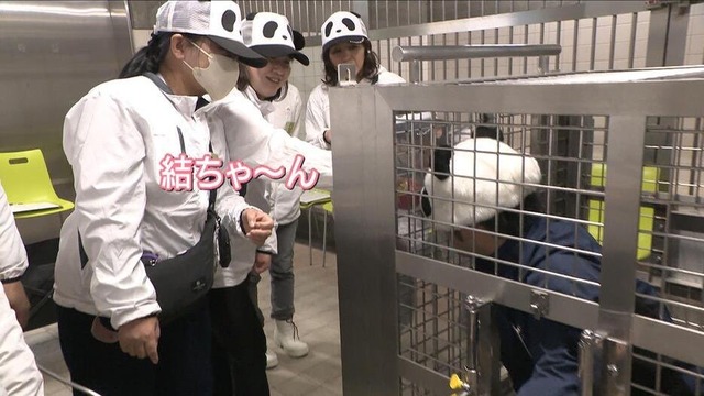 【悲報】中国、アメリカにパンダを貸与する事が決定するｗｗｗｗｗｗｗｗ | 【悲報】中国、アメリカにパンダを貸与する事が決定するｗｗｗｗｗｗｗｗ | 【悲報】中国、アメリカにパンダを貸与する事が決定するｗｗｗｗｗｗｗｗ | 【悲報】中国、アメリカにパンダを貸与する事が決定するｗｗｗｗｗｗｗｗ | やっちまった速報(画像25122453876690_4)