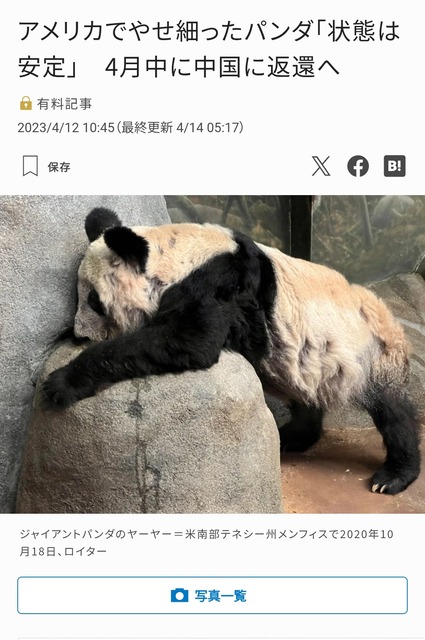 【悲報】中国、アメリカにパンダを貸与する事が決定するｗｗｗｗｗｗｗｗ | 【悲報】中国、アメリカにパンダを貸与する事が決定するｗｗｗｗｗｗｗｗ | 【悲報】中国、アメリカにパンダを貸与する事が決定するｗｗｗｗｗｗｗｗ | 【悲報】中国、アメリカにパンダを貸与する事が決定するｗｗｗｗｗｗｗｗ | 【悲報】中国、アメリカにパンダを貸与する事が決定するｗｗｗｗｗｗｗｗ | 【悲報】中国、アメリカにパンダを貸与する事が決定するｗｗｗｗｗｗｗｗ | 【悲報】中国、アメリカにパンダを貸与する事が決定するｗｗｗｗｗｗｗｗ | やっちまった速報(画像25122455219134_7)