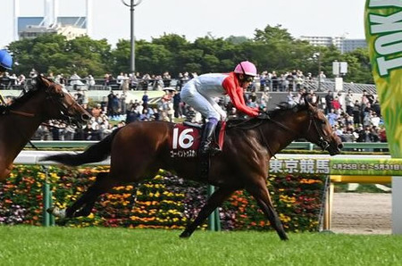 【悲報】フェミニストさん、ひさびさに正論を言ってしまうｗｗｗｗ
 | やっちまった速報(最新記事1)