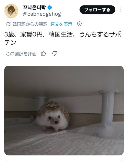 【悲報】日本人、ガチで世界中で嫌われまくる・・・・・ | 【悲報】日本人、ガチで世界中で嫌われまくる・・・・・ | 【悲報】日本人、ガチで世界中で嫌われまくる・・・・・ | 【悲報】日本人、ガチで世界中で嫌われまくる・・・・・ | 【悲報】日本人、ガチで世界中で嫌われまくる・・・・・ | 【悲報】日本人、ガチで世界中で嫌われまくる・・・・・ | 【悲報】日本人、ガチで世界中で嫌われまくる・・・・・ | 【悲報】日本人、ガチで世界中で嫌われまくる・・・・・ | 【悲報】日本人、ガチで世界中で嫌われまくる・・・・・ | 【悲報】日本人、ガチで世界中で嫌われまくる・・・・・ | 【悲報】日本人、ガチで世界中で嫌われまくる・・・・・ | 【悲報】日本人、ガチで世界中で嫌われまくる・・・・・ | 【悲報】日本人、ガチで世界中で嫌われまくる・・・・・ | 【悲報】日本人、ガチで世界中で嫌われまくる・・・・・ | 【悲報】日本人、ガチで世界中で嫌われまくる・・・・・ | 【悲報】日本人、ガチで世界中で嫌われまくる・・・・・ | 【悲報】日本人、ガチで世界中で嫌われまくる・・・・・ | 【悲報】日本人、ガチで世界中で嫌われまくる・・・・・ | 【悲報】日本人、ガチで世界中で嫌われまくる・・・・・ | 【悲報】日本人、ガチで世界中で嫌われまくる・・・・・ | 【悲報】日本人、ガチで世界中で嫌われまくる・・・・・ | 【悲報】日本人、ガチで世界中で嫌われまくる・・・・・ | 【悲報】日本人、ガチで世界中で嫌われまくる・・・・・ | 【悲報】日本人、ガチで世界中で嫌われまくる・・・・・ | 【悲報】日本人、ガチで世界中で嫌われまくる・・・・・ | 【悲報】日本人、ガチで世界中で嫌われまくる・・・・・ | 【悲報】日本人、ガチで世界中で嫌われまくる・・・・・ | 【悲報】日本人、ガチで世界中で嫌われまくる・・・・・ | 【悲報】日本人、ガチで世界中で嫌われまくる・・・・・ | 【悲報】日本人、ガチで世界中で嫌われまくる・・・・・ | 【悲報】日本人、ガチで世界中で嫌われまくる・・・・・ | 【悲報】日本人、ガチで世界中で嫌われまくる・・・・・ | 【悲報】日本人、ガチで世界中で嫌われまくる・・・・・ | 【悲報】日本人、ガチで世界中で嫌われまくる・・・・・ | 【悲報】日本人、ガチで世界中で嫌われまくる・・・・・ | 【悲報】日本人、ガチで世界中で嫌われまくる・・・・・ | 【悲報】日本人、ガチで世界中で嫌われまくる・・・・・ | 【悲報】日本人、ガチで世界中で嫌われまくる・・・・・ | 【悲報】日本人、ガチで世界中で嫌われまくる・・・・・ | 【悲報】日本人、ガチで世界中で嫌われまくる・・・・・ | 【悲報】日本人、ガチで世界中で嫌われまくる・・・・・ | 【悲報】日本人、ガチで世界中で嫌われまくる・・・・・ | 【悲報】日本人、ガチで世界中で嫌われまくる・・・・・ | 【悲報】日本人、ガチで世界中で嫌われまくる・・・・・ | 【悲報】日本人、ガチで世界中で嫌われまくる・・・・・ | 【悲報】日本人、ガチで世界中で嫌われまくる・・・・・ | やっちまった速報(画像25212516824399_46)