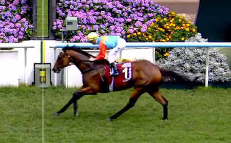 やっちまった速報(最新記事19)