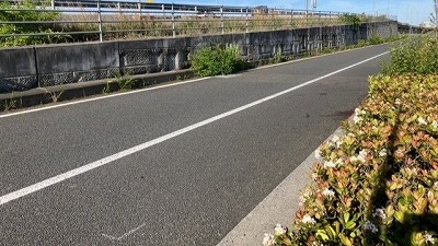 やっちまった速報(最新記事18)