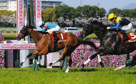 6億円馬アドマイヤビルゴの主な勝鞍
 | やっちまった速報(ピックアップ5)