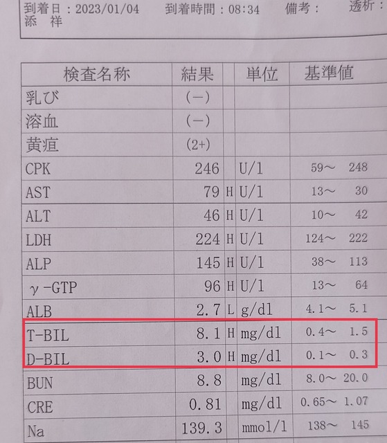 糖尿病「両目失明します」「手足切断します」「腎臓破壊して透析させます」←こいつがナメられてる理由 | 糖尿病「両目失明します」「手足切断します」「腎臓破壊して透析させます」←こいつがナメられてる理由 | 糖尿病「両目失明します」「手足切断します」「腎臓破壊して透析させます」←こいつがナメられてる理由 | 糖尿病「両目失明します」「手足切断します」「腎臓破壊して透析させます」←こいつがナメられてる理由 | やっちまった速報(画像18050451942406_4)