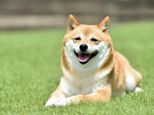 やっちまった速報(最新記事19)