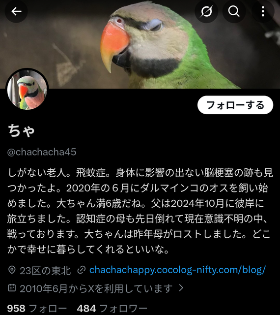 【悲報】女さん、残酷な真実を暴露「セックスで気持ち良さそうにしてる女、残念ながら全部演技ですｗ」 | 【悲報】女さん、残酷な真実を暴露「セックスで気持ち良さそうにしてる女、残念ながら全部演技ですｗ」 | 【悲報】女さん、残酷な真実を暴露「セックスで気持ち良さそうにしてる女、残念ながら全部演技ですｗ」 | やっちまった速報(画像24230811832503_3)