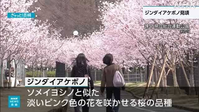 日本政府「街路樹の管理めんどい」→50万本以上の街路樹が消滅　日本の夏が暑い理由 | 日本政府「街路樹の管理めんどい」→50万本以上の街路樹が消滅　日本の夏が暑い理由 | 日本政府「街路樹の管理めんどい」→50万本以上の街路樹が消滅　日本の夏が暑い理由 | やっちまった速報(画像25090811410327_3)