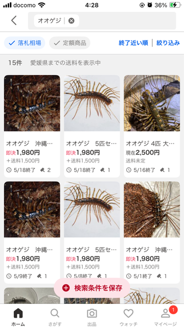 【虫注意】風呂場にクソデカイ蜘蛛が出て風呂に入れないｗｗｗｗｗｗｗｗｗｗｗｗｗ | 【虫注意】風呂場にクソデカイ蜘蛛が出て風呂に入れないｗｗｗｗｗｗｗｗｗｗｗｗｗ | 【虫注意】風呂場にクソデカイ蜘蛛が出て風呂に入れないｗｗｗｗｗｗｗｗｗｗｗｗｗ | 【虫注意】風呂場にクソデカイ蜘蛛が出て風呂に入れないｗｗｗｗｗｗｗｗｗｗｗｗｗ | 【虫注意】風呂場にクソデカイ蜘蛛が出て風呂に入れないｗｗｗｗｗｗｗｗｗｗｗｗｗ | 【虫注意】風呂場にクソデカイ蜘蛛が出て風呂に入れないｗｗｗｗｗｗｗｗｗｗｗｗｗ | 【虫注意】風呂場にクソデカイ蜘蛛が出て風呂に入れないｗｗｗｗｗｗｗｗｗｗｗｗｗ | 【虫注意】風呂場にクソデカイ蜘蛛が出て風呂に入れないｗｗｗｗｗｗｗｗｗｗｗｗｗ | 【虫注意】風呂場にクソデカイ蜘蛛が出て風呂に入れないｗｗｗｗｗｗｗｗｗｗｗｗｗ | 【虫注意】風呂場にクソデカイ蜘蛛が出て風呂に入れないｗｗｗｗｗｗｗｗｗｗｗｗｗ | やっちまった速報(画像29150822045975_10)