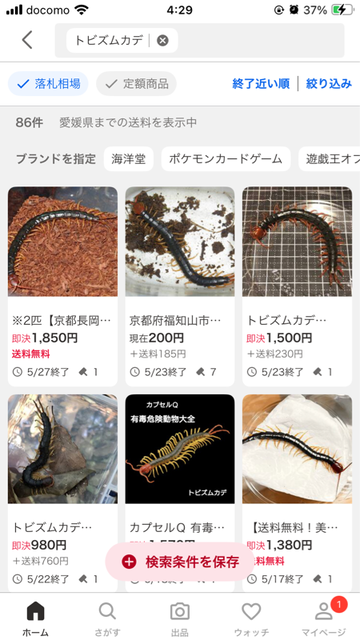 【虫注意】風呂場にクソデカイ蜘蛛が出て風呂に入れないｗｗｗｗｗｗｗｗｗｗｗｗｗ | 【虫注意】風呂場にクソデカイ蜘蛛が出て風呂に入れないｗｗｗｗｗｗｗｗｗｗｗｗｗ | 【虫注意】風呂場にクソデカイ蜘蛛が出て風呂に入れないｗｗｗｗｗｗｗｗｗｗｗｗｗ | 【虫注意】風呂場にクソデカイ蜘蛛が出て風呂に入れないｗｗｗｗｗｗｗｗｗｗｗｗｗ | 【虫注意】風呂場にクソデカイ蜘蛛が出て風呂に入れないｗｗｗｗｗｗｗｗｗｗｗｗｗ | 【虫注意】風呂場にクソデカイ蜘蛛が出て風呂に入れないｗｗｗｗｗｗｗｗｗｗｗｗｗ | 【虫注意】風呂場にクソデカイ蜘蛛が出て風呂に入れないｗｗｗｗｗｗｗｗｗｗｗｗｗ | 【虫注意】風呂場にクソデカイ蜘蛛が出て風呂に入れないｗｗｗｗｗｗｗｗｗｗｗｗｗ | 【虫注意】風呂場にクソデカイ蜘蛛が出て風呂に入れないｗｗｗｗｗｗｗｗｗｗｗｗｗ | 【虫注意】風呂場にクソデカイ蜘蛛が出て風呂に入れないｗｗｗｗｗｗｗｗｗｗｗｗｗ | 【虫注意】風呂場にクソデカイ蜘蛛が出て風呂に入れないｗｗｗｗｗｗｗｗｗｗｗｗｗ | やっちまった速報(画像29150822418263_11)