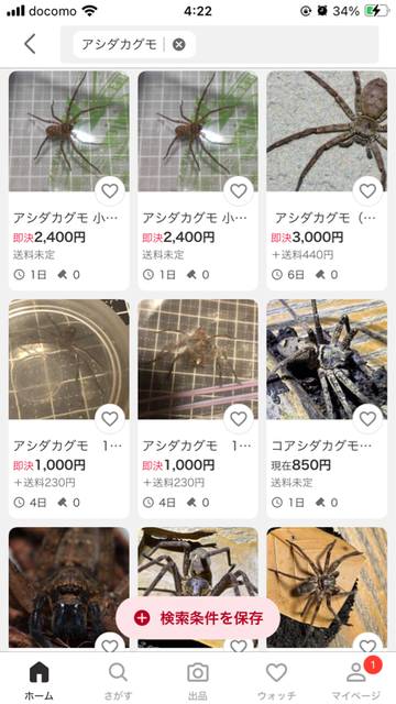 【虫注意】風呂場にクソデカイ蜘蛛が出て風呂に入れないｗｗｗｗｗｗｗｗｗｗｗｗｗ | 【虫注意】風呂場にクソデカイ蜘蛛が出て風呂に入れないｗｗｗｗｗｗｗｗｗｗｗｗｗ | 【虫注意】風呂場にクソデカイ蜘蛛が出て風呂に入れないｗｗｗｗｗｗｗｗｗｗｗｗｗ | 【虫注意】風呂場にクソデカイ蜘蛛が出て風呂に入れないｗｗｗｗｗｗｗｗｗｗｗｗｗ | 【虫注意】風呂場にクソデカイ蜘蛛が出て風呂に入れないｗｗｗｗｗｗｗｗｗｗｗｗｗ | 【虫注意】風呂場にクソデカイ蜘蛛が出て風呂に入れないｗｗｗｗｗｗｗｗｗｗｗｗｗ | やっちまった速報(画像29150820398224_6)