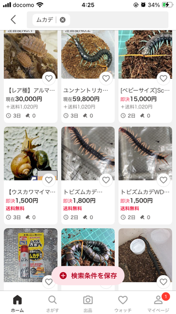 【虫注意】風呂場にクソデカイ蜘蛛が出て風呂に入れないｗｗｗｗｗｗｗｗｗｗｗｗｗ | 【虫注意】風呂場にクソデカイ蜘蛛が出て風呂に入れないｗｗｗｗｗｗｗｗｗｗｗｗｗ | 【虫注意】風呂場にクソデカイ蜘蛛が出て風呂に入れないｗｗｗｗｗｗｗｗｗｗｗｗｗ | 【虫注意】風呂場にクソデカイ蜘蛛が出て風呂に入れないｗｗｗｗｗｗｗｗｗｗｗｗｗ | 【虫注意】風呂場にクソデカイ蜘蛛が出て風呂に入れないｗｗｗｗｗｗｗｗｗｗｗｗｗ | 【虫注意】風呂場にクソデカイ蜘蛛が出て風呂に入れないｗｗｗｗｗｗｗｗｗｗｗｗｗ | 【虫注意】風呂場にクソデカイ蜘蛛が出て風呂に入れないｗｗｗｗｗｗｗｗｗｗｗｗｗ | 【虫注意】風呂場にクソデカイ蜘蛛が出て風呂に入れないｗｗｗｗｗｗｗｗｗｗｗｗｗ | やっちまった速報(画像29150821267691_8)