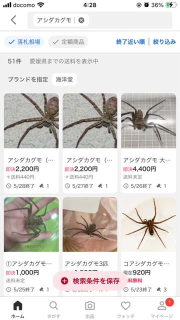 【虫注意】風呂場にクソデカイ蜘蛛が出て風呂に入れないｗｗｗｗｗｗｗｗｗｗｗｗｗ | 【虫注意】風呂場にクソデカイ蜘蛛が出て風呂に入れないｗｗｗｗｗｗｗｗｗｗｗｗｗ | 【虫注意】風呂場にクソデカイ蜘蛛が出て風呂に入れないｗｗｗｗｗｗｗｗｗｗｗｗｗ | 【虫注意】風呂場にクソデカイ蜘蛛が出て風呂に入れないｗｗｗｗｗｗｗｗｗｗｗｗｗ | 【虫注意】風呂場にクソデカイ蜘蛛が出て風呂に入れないｗｗｗｗｗｗｗｗｗｗｗｗｗ | 【虫注意】風呂場にクソデカイ蜘蛛が出て風呂に入れないｗｗｗｗｗｗｗｗｗｗｗｗｗ | 【虫注意】風呂場にクソデカイ蜘蛛が出て風呂に入れないｗｗｗｗｗｗｗｗｗｗｗｗｗ | 【虫注意】風呂場にクソデカイ蜘蛛が出て風呂に入れないｗｗｗｗｗｗｗｗｗｗｗｗｗ | 【虫注意】風呂場にクソデカイ蜘蛛が出て風呂に入れないｗｗｗｗｗｗｗｗｗｗｗｗｗ | やっちまった速報(画像29150821639424_9)