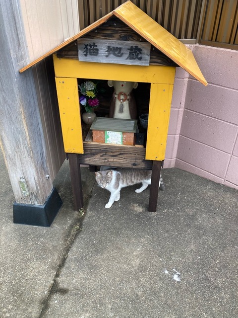 【画像】この間猫島行ってきたw | 【画像】この間猫島行ってきたw | 【画像】この間猫島行ってきたw | 【画像】この間猫島行ってきたw | 【画像】この間猫島行ってきたw | 【画像】この間猫島行ってきたw | 【画像】この間猫島行ってきたw | 【画像】この間猫島行ってきたw | 【画像】この間猫島行ってきたw | 【画像】この間猫島行ってきたw | やっちまった速報(画像07044904087372_10) 【画像】この間猫島行ってきたw | 【画像】この間猫島行ってきたw | 【画像】この間猫島行ってきたw | 【画像】この間猫島行ってきたw | 【画像】この間猫島行ってきたw | 【画像】この間猫島行ってきたw | 【画像】この間猫島行ってきたw | 【画像】この間猫島行ってきたw | 【画像】この間猫島行ってきたw | 【画像】この間猫島行ってきたw | やっちまった速報(画像07044904087372_10)