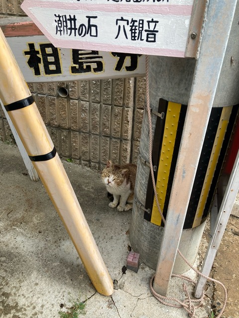 【画像】この間猫島行ってきたw | 【画像】この間猫島行ってきたw | 【画像】この間猫島行ってきたw | 【画像】この間猫島行ってきたw | 【画像】この間猫島行ってきたw | 【画像】この間猫島行ってきたw | 【画像】この間猫島行ってきたw | 【画像】この間猫島行ってきたw | 【画像】この間猫島行ってきたw | 【画像】この間猫島行ってきたw | 【画像】この間猫島行ってきたw | 【画像】この間猫島行ってきたw | 【画像】この間猫島行ってきたw | 【画像】この間猫島行ってきたw | やっちまった速報(画像07044905528446_14) 【画像】この間猫島行ってきたw | 【画像】この間猫島行ってきたw | 【画像】この間猫島行ってきたw | 【画像】この間猫島行ってきたw | 【画像】この間猫島行ってきたw | 【画像】この間猫島行ってきたw | 【画像】この間猫島行ってきたw | 【画像】この間猫島行ってきたw | 【画像】この間猫島行ってきたw | 【画像】この間猫島行ってきたw | 【画像】この間猫島行ってきたw | 【画像】この間猫島行ってきたw | 【画像】この間猫島行ってきたw | 【画像】この間猫島行ってきたw | やっちまった速報(画像07044905528446_14)