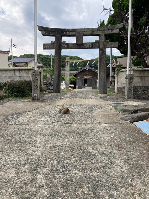 【画像】この間猫島行ってきたw | 【画像】この間猫島行ってきたw | 【画像】この間猫島行ってきたw | 【画像】この間猫島行ってきたw | 【画像】この間猫島行ってきたw | 【画像】この間猫島行ってきたw | 【画像】この間猫島行ってきたw | 【画像】この間猫島行ってきたw | 【画像】この間猫島行ってきたw | 【画像】この間猫島行ってきたw | 【画像】この間猫島行ってきたw | 【画像】この間猫島行ってきたw | 【画像】この間猫島行ってきたw | 【画像】この間猫島行ってきたw | 【画像】この間猫島行ってきたw | やっちまった速報(画像07044905879533_15) 【画像】この間猫島行ってきたw | 【画像】この間猫島行ってきたw | 【画像】この間猫島行ってきたw | 【画像】この間猫島行ってきたw | 【画像】この間猫島行ってきたw | 【画像】この間猫島行ってきたw | 【画像】この間猫島行ってきたw | 【画像】この間猫島行ってきたw | 【画像】この間猫島行ってきたw | 【画像】この間猫島行ってきたw | 【画像】この間猫島行ってきたw | 【画像】この間猫島行ってきたw | 【画像】この間猫島行ってきたw | 【画像】この間猫島行ってきたw | 【画像】この間猫島行ってきたw | やっちまった速報(画像07044905879533_15)