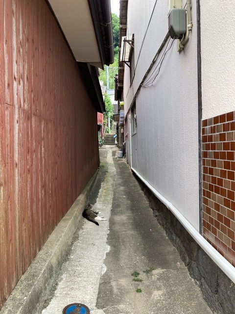 【画像】この間猫島行ってきたw | 【画像】この間猫島行ってきたw | 【画像】この間猫島行ってきたw | 【画像】この間猫島行ってきたw | 【画像】この間猫島行ってきたw | 【画像】この間猫島行ってきたw | 【画像】この間猫島行ってきたw | 【画像】この間猫島行ってきたw | 【画像】この間猫島行ってきたw | 【画像】この間猫島行ってきたw | 【画像】この間猫島行ってきたw | 【画像】この間猫島行ってきたw | 【画像】この間猫島行ってきたw | 【画像】この間猫島行ってきたw | 【画像】この間猫島行ってきたw | 【画像】この間猫島行ってきたw | 【画像】この間猫島行ってきたw | 【画像】この間猫島行ってきたw | やっちまった速報(画像07044906844914_18) 【画像】この間猫島行ってきたw | 【画像】この間猫島行ってきたw | 【画像】この間猫島行ってきたw | 【画像】この間猫島行ってきたw | 【画像】この間猫島行ってきたw | 【画像】この間猫島行ってきたw | 【画像】この間猫島行ってきたw | 【画像】この間猫島行ってきたw | 【画像】この間猫島行ってきたw | 【画像】この間猫島行ってきたw | 【画像】この間猫島行ってきたw | 【画像】この間猫島行ってきたw | 【画像】この間猫島行ってきたw | 【画像】この間猫島行ってきたw | 【画像】この間猫島行ってきたw | 【画像】この間猫島行ってきたw | 【画像】この間猫島行ってきたw | 【画像】この間猫島行ってきたw | やっちまった速報(画像07044906844914_18)