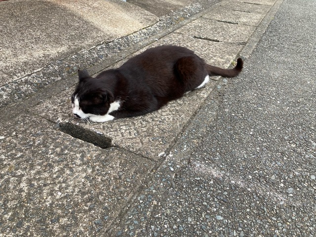 【画像】この間猫島行ってきたw | 【画像】この間猫島行ってきたw | 【画像】この間猫島行ってきたw | 【画像】この間猫島行ってきたw | 【画像】この間猫島行ってきたw | 【画像】この間猫島行ってきたw | 【画像】この間猫島行ってきたw | 【画像】この間猫島行ってきたw | 【画像】この間猫島行ってきたw | 【画像】この間猫島行ってきたw | 【画像】この間猫島行ってきたw | 【画像】この間猫島行ってきたw | 【画像】この間猫島行ってきたw | 【画像】この間猫島行ってきたw | 【画像】この間猫島行ってきたw | 【画像】この間猫島行ってきたw | 【画像】この間猫島行ってきたw | 【画像】この間猫島行ってきたw | 【画像】この間猫島行ってきたw | 【画像】この間猫島行ってきたw | やっちまった速報(画像07044907544793_20) 【画像】この間猫島行ってきたw | 【画像】この間猫島行ってきたw | 【画像】この間猫島行ってきたw | 【画像】この間猫島行ってきたw | 【画像】この間猫島行ってきたw | 【画像】この間猫島行ってきたw | 【画像】この間猫島行ってきたw | 【画像】この間猫島行ってきたw | 【画像】この間猫島行ってきたw | 【画像】この間猫島行ってきたw | 【画像】この間猫島行ってきたw | 【画像】この間猫島行ってきたw | 【画像】この間猫島行ってきたw | 【画像】この間猫島行ってきたw | 【画像】この間猫島行ってきたw | 【画像】この間猫島行ってきたw | 【画像】この間猫島行ってきたw | 【画像】この間猫島行ってきたw | 【画像】この間猫島行ってきたw | 【画像】この間猫島行ってきたw | やっちまった速報(画像07044907544793_20)