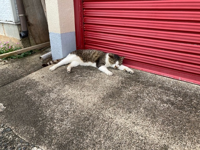 【画像】この間猫島行ってきたw | 【画像】この間猫島行ってきたw | 【画像】この間猫島行ってきたw | 【画像】この間猫島行ってきたw | 【画像】この間猫島行ってきたw | 【画像】この間猫島行ってきたw | 【画像】この間猫島行ってきたw | 【画像】この間猫島行ってきたw | 【画像】この間猫島行ってきたw | 【画像】この間猫島行ってきたw | 【画像】この間猫島行ってきたw | 【画像】この間猫島行ってきたw | 【画像】この間猫島行ってきたw | 【画像】この間猫島行ってきたw | 【画像】この間猫島行ってきたw | 【画像】この間猫島行ってきたw | 【画像】この間猫島行ってきたw | 【画像】この間猫島行ってきたw | 【画像】この間猫島行ってきたw | 【画像】この間猫島行ってきたw | 【画像】この間猫島行ってきたw | やっちまった速報(画像07044907975858_21) 【画像】この間猫島行ってきたw | 【画像】この間猫島行ってきたw | 【画像】この間猫島行ってきたw | 【画像】この間猫島行ってきたw | 【画像】この間猫島行ってきたw | 【画像】この間猫島行ってきたw | 【画像】この間猫島行ってきたw | 【画像】この間猫島行ってきたw | 【画像】この間猫島行ってきたw | 【画像】この間猫島行ってきたw | 【画像】この間猫島行ってきたw | 【画像】この間猫島行ってきたw | 【画像】この間猫島行ってきたw | 【画像】この間猫島行ってきたw | 【画像】この間猫島行ってきたw | 【画像】この間猫島行ってきたw | 【画像】この間猫島行ってきたw | 【画像】この間猫島行ってきたw | 【画像】この間猫島行ってきたw | 【画像】この間猫島行ってきたw | 【画像】この間猫島行ってきたw | やっちまった速報(画像07044907975858_21)