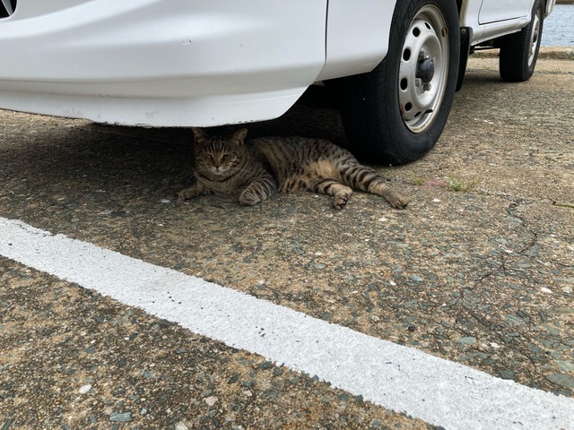 【画像】この間猫島行ってきたw | 【画像】この間猫島行ってきたw | 【画像】この間猫島行ってきたw | 【画像】この間猫島行ってきたw | 【画像】この間猫島行ってきたw | 【画像】この間猫島行ってきたw | 【画像】この間猫島行ってきたw | 【画像】この間猫島行ってきたw | 【画像】この間猫島行ってきたw | 【画像】この間猫島行ってきたw | 【画像】この間猫島行ってきたw | 【画像】この間猫島行ってきたw | 【画像】この間猫島行ってきたw | 【画像】この間猫島行ってきたw | 【画像】この間猫島行ってきたw | 【画像】この間猫島行ってきたw | 【画像】この間猫島行ってきたw | 【画像】この間猫島行ってきたw | 【画像】この間猫島行ってきたw | 【画像】この間猫島行ってきたw | 【画像】この間猫島行ってきたw | 【画像】この間猫島行ってきたw | やっちまった速報(画像07044908311688_22) 【画像】この間猫島行ってきたw | 【画像】この間猫島行ってきたw | 【画像】この間猫島行ってきたw | 【画像】この間猫島行ってきたw | 【画像】この間猫島行ってきたw | 【画像】この間猫島行ってきたw | 【画像】この間猫島行ってきたw | 【画像】この間猫島行ってきたw | 【画像】この間猫島行ってきたw | 【画像】この間猫島行ってきたw | 【画像】この間猫島行ってきたw | 【画像】この間猫島行ってきたw | 【画像】この間猫島行ってきたw | 【画像】この間猫島行ってきたw | 【画像】この間猫島行ってきたw | 【画像】この間猫島行ってきたw | 【画像】この間猫島行ってきたw | 【画像】この間猫島行ってきたw | 【画像】この間猫島行ってきたw | 【画像】この間猫島行ってきたw | 【画像】この間猫島行ってきたw | 【画像】この間猫島行ってきたw | やっちまった速報(画像07044908311688_22)