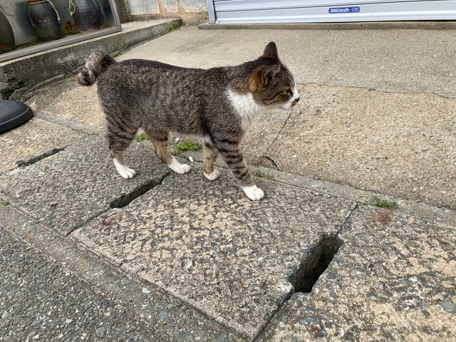 【画像】この間猫島行ってきたw | 【画像】この間猫島行ってきたw | 【画像】この間猫島行ってきたw | 【画像】この間猫島行ってきたw | 【画像】この間猫島行ってきたw | 【画像】この間猫島行ってきたw | 【画像】この間猫島行ってきたw | 【画像】この間猫島行ってきたw | 【画像】この間猫島行ってきたw | 【画像】この間猫島行ってきたw | 【画像】この間猫島行ってきたw | 【画像】この間猫島行ってきたw | 【画像】この間猫島行ってきたw | 【画像】この間猫島行ってきたw | 【画像】この間猫島行ってきたw | 【画像】この間猫島行ってきたw | 【画像】この間猫島行ってきたw | 【画像】この間猫島行ってきたw | 【画像】この間猫島行ってきたw | 【画像】この間猫島行ってきたw | 【画像】この間猫島行ってきたw | 【画像】この間猫島行ってきたw | 【画像】この間猫島行ってきたw | やっちまった速報(画像07044908652818_23) 【画像】この間猫島行ってきたw | 【画像】この間猫島行ってきたw | 【画像】この間猫島行ってきたw | 【画像】この間猫島行ってきたw | 【画像】この間猫島行ってきたw | 【画像】この間猫島行ってきたw | 【画像】この間猫島行ってきたw | 【画像】この間猫島行ってきたw | 【画像】この間猫島行ってきたw | 【画像】この間猫島行ってきたw | 【画像】この間猫島行ってきたw | 【画像】この間猫島行ってきたw | 【画像】この間猫島行ってきたw | 【画像】この間猫島行ってきたw | 【画像】この間猫島行ってきたw | 【画像】この間猫島行ってきたw | 【画像】この間猫島行ってきたw | 【画像】この間猫島行ってきたw | 【画像】この間猫島行ってきたw | 【画像】この間猫島行ってきたw | 【画像】この間猫島行ってきたw | 【画像】この間猫島行ってきたw | 【画像】この間猫島行ってきたw | やっちまった速報(画像07044908652818_23)
