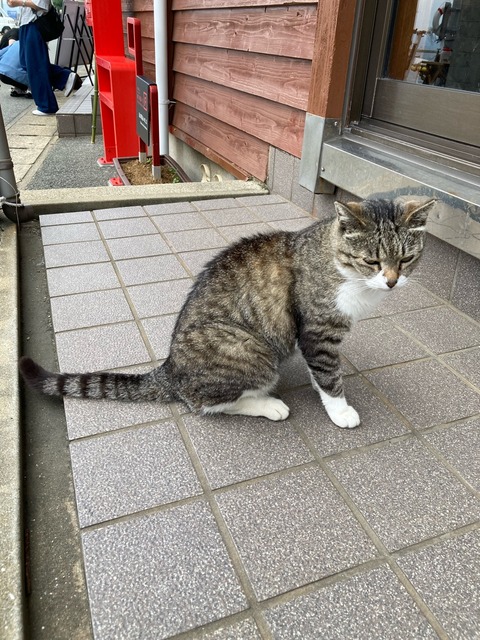 【画像】この間猫島行ってきたw | 【画像】この間猫島行ってきたw | 【画像】この間猫島行ってきたw | 【画像】この間猫島行ってきたw | 【画像】この間猫島行ってきたw | 【画像】この間猫島行ってきたw | 【画像】この間猫島行ってきたw | 【画像】この間猫島行ってきたw | 【画像】この間猫島行ってきたw | 【画像】この間猫島行ってきたw | 【画像】この間猫島行ってきたw | 【画像】この間猫島行ってきたw | 【画像】この間猫島行ってきたw | 【画像】この間猫島行ってきたw | 【画像】この間猫島行ってきたw | 【画像】この間猫島行ってきたw | 【画像】この間猫島行ってきたw | 【画像】この間猫島行ってきたw | 【画像】この間猫島行ってきたw | 【画像】この間猫島行ってきたw | 【画像】この間猫島行ってきたw | 【画像】この間猫島行ってきたw | 【画像】この間猫島行ってきたw | 【画像】この間猫島行ってきたw | やっちまった速報(画像07044909021972_24) 【画像】この間猫島行ってきたw | 【画像】この間猫島行ってきたw | 【画像】この間猫島行ってきたw | 【画像】この間猫島行ってきたw | 【画像】この間猫島行ってきたw | 【画像】この間猫島行ってきたw | 【画像】この間猫島行ってきたw | 【画像】この間猫島行ってきたw | 【画像】この間猫島行ってきたw | 【画像】この間猫島行ってきたw | 【画像】この間猫島行ってきたw | 【画像】この間猫島行ってきたw | 【画像】この間猫島行ってきたw | 【画像】この間猫島行ってきたw | 【画像】この間猫島行ってきたw | 【画像】この間猫島行ってきたw | 【画像】この間猫島行ってきたw | 【画像】この間猫島行ってきたw | 【画像】この間猫島行ってきたw | 【画像】この間猫島行ってきたw | 【画像】この間猫島行ってきたw | 【画像】この間猫島行ってきたw | 【画像】この間猫島行ってきたw | 【画像】この間猫島行ってきたw | やっちまった速報(画像07044909021972_24)