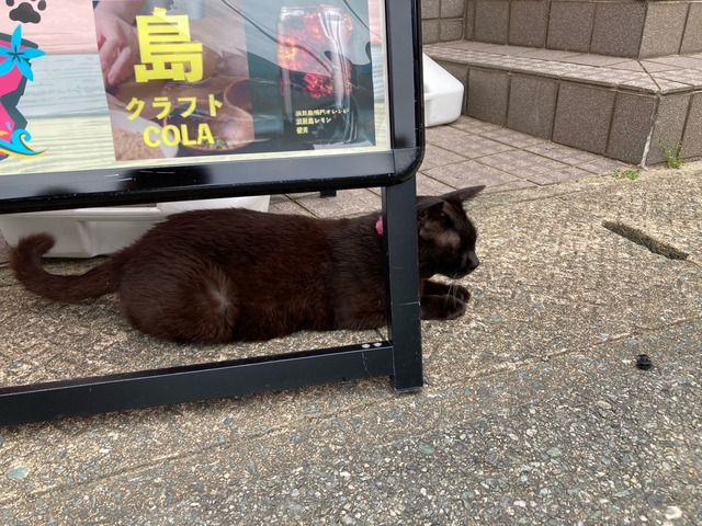 【画像】この間猫島行ってきたw | 【画像】この間猫島行ってきたw | 【画像】この間猫島行ってきたw | 【画像】この間猫島行ってきたw | 【画像】この間猫島行ってきたw | 【画像】この間猫島行ってきたw | 【画像】この間猫島行ってきたw | 【画像】この間猫島行ってきたw | 【画像】この間猫島行ってきたw | 【画像】この間猫島行ってきたw | 【画像】この間猫島行ってきたw | 【画像】この間猫島行ってきたw | 【画像】この間猫島行ってきたw | 【画像】この間猫島行ってきたw | 【画像】この間猫島行ってきたw | 【画像】この間猫島行ってきたw | 【画像】この間猫島行ってきたw | 【画像】この間猫島行ってきたw | 【画像】この間猫島行ってきたw | 【画像】この間猫島行ってきたw | 【画像】この間猫島行ってきたw | 【画像】この間猫島行ってきたw | 【画像】この間猫島行ってきたw | 【画像】この間猫島行ってきたw | 【画像】この間猫島行ってきたw | やっちまった速報(画像07044909357648_25) 【画像】この間猫島行ってきたw | 【画像】この間猫島行ってきたw | 【画像】この間猫島行ってきたw | 【画像】この間猫島行ってきたw | 【画像】この間猫島行ってきたw | 【画像】この間猫島行ってきたw | 【画像】この間猫島行ってきたw | 【画像】この間猫島行ってきたw | 【画像】この間猫島行ってきたw | 【画像】この間猫島行ってきたw | 【画像】この間猫島行ってきたw | 【画像】この間猫島行ってきたw | 【画像】この間猫島行ってきたw | 【画像】この間猫島行ってきたw | 【画像】この間猫島行ってきたw | 【画像】この間猫島行ってきたw | 【画像】この間猫島行ってきたw | 【画像】この間猫島行ってきたw | 【画像】この間猫島行ってきたw | 【画像】この間猫島行ってきたw | 【画像】この間猫島行ってきたw | 【画像】この間猫島行ってきたw | 【画像】この間猫島行ってきたw | 【画像】この間猫島行ってきたw | 【画像】この間猫島行ってきたw | やっちまった速報(画像07044909357648_25)