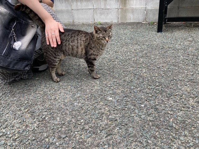 【画像】この間猫島行ってきたw | 【画像】この間猫島行ってきたw | 【画像】この間猫島行ってきたw | 【画像】この間猫島行ってきたw | 【画像】この間猫島行ってきたw | 【画像】この間猫島行ってきたw | 【画像】この間猫島行ってきたw | 【画像】この間猫島行ってきたw | 【画像】この間猫島行ってきたw | 【画像】この間猫島行ってきたw | 【画像】この間猫島行ってきたw | 【画像】この間猫島行ってきたw | 【画像】この間猫島行ってきたw | 【画像】この間猫島行ってきたw | 【画像】この間猫島行ってきたw | 【画像】この間猫島行ってきたw | 【画像】この間猫島行ってきたw | 【画像】この間猫島行ってきたw | 【画像】この間猫島行ってきたw | 【画像】この間猫島行ってきたw | 【画像】この間猫島行ってきたw | 【画像】この間猫島行ってきたw | 【画像】この間猫島行ってきたw | 【画像】この間猫島行ってきたw | 【画像】この間猫島行ってきたw | 【画像】この間猫島行ってきたw | やっちまった速報(画像07044909711311_26) 【画像】この間猫島行ってきたw | 【画像】この間猫島行ってきたw | 【画像】この間猫島行ってきたw | 【画像】この間猫島行ってきたw | 【画像】この間猫島行ってきたw | 【画像】この間猫島行ってきたw | 【画像】この間猫島行ってきたw | 【画像】この間猫島行ってきたw | 【画像】この間猫島行ってきたw | 【画像】この間猫島行ってきたw | 【画像】この間猫島行ってきたw | 【画像】この間猫島行ってきたw | 【画像】この間猫島行ってきたw | 【画像】この間猫島行ってきたw | 【画像】この間猫島行ってきたw | 【画像】この間猫島行ってきたw | 【画像】この間猫島行ってきたw | 【画像】この間猫島行ってきたw | 【画像】この間猫島行ってきたw | 【画像】この間猫島行ってきたw | 【画像】この間猫島行ってきたw | 【画像】この間猫島行ってきたw | 【画像】この間猫島行ってきたw | 【画像】この間猫島行ってきたw | 【画像】この間猫島行ってきたw | 【画像】この間猫島行ってきたw | やっちまった速報(画像07044909711311_26)