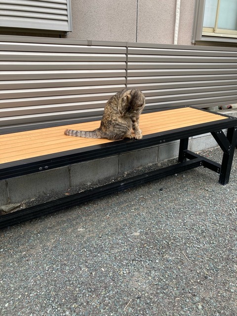 【画像】この間猫島行ってきたw | 【画像】この間猫島行ってきたw | 【画像】この間猫島行ってきたw | 【画像】この間猫島行ってきたw | 【画像】この間猫島行ってきたw | 【画像】この間猫島行ってきたw | 【画像】この間猫島行ってきたw | 【画像】この間猫島行ってきたw | 【画像】この間猫島行ってきたw | 【画像】この間猫島行ってきたw | 【画像】この間猫島行ってきたw | 【画像】この間猫島行ってきたw | 【画像】この間猫島行ってきたw | 【画像】この間猫島行ってきたw | 【画像】この間猫島行ってきたw | 【画像】この間猫島行ってきたw | 【画像】この間猫島行ってきたw | 【画像】この間猫島行ってきたw | 【画像】この間猫島行ってきたw | 【画像】この間猫島行ってきたw | 【画像】この間猫島行ってきたw | 【画像】この間猫島行ってきたw | 【画像】この間猫島行ってきたw | 【画像】この間猫島行ってきたw | 【画像】この間猫島行ってきたw | 【画像】この間猫島行ってきたw | 【画像】この間猫島行ってきたw | やっちまった速報(画像07044910044327_27) 【画像】この間猫島行ってきたw | 【画像】この間猫島行ってきたw | 【画像】この間猫島行ってきたw | 【画像】この間猫島行ってきたw | 【画像】この間猫島行ってきたw | 【画像】この間猫島行ってきたw | 【画像】この間猫島行ってきたw | 【画像】この間猫島行ってきたw | 【画像】この間猫島行ってきたw | 【画像】この間猫島行ってきたw | 【画像】この間猫島行ってきたw | 【画像】この間猫島行ってきたw | 【画像】この間猫島行ってきたw | 【画像】この間猫島行ってきたw | 【画像】この間猫島行ってきたw | 【画像】この間猫島行ってきたw | 【画像】この間猫島行ってきたw | 【画像】この間猫島行ってきたw | 【画像】この間猫島行ってきたw | 【画像】この間猫島行ってきたw | 【画像】この間猫島行ってきたw | 【画像】この間猫島行ってきたw | 【画像】この間猫島行ってきたw | 【画像】この間猫島行ってきたw | 【画像】この間猫島行ってきたw | 【画像】この間猫島行ってきたw | 【画像】この間猫島行ってきたw | やっちまった速報(画像07044910044327_27)