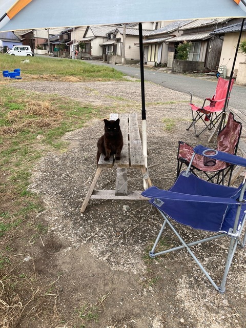 【画像】この間猫島行ってきたw | 【画像】この間猫島行ってきたw | 【画像】この間猫島行ってきたw | 【画像】この間猫島行ってきたw | 【画像】この間猫島行ってきたw | 【画像】この間猫島行ってきたw | 【画像】この間猫島行ってきたw | 【画像】この間猫島行ってきたw | 【画像】この間猫島行ってきたw | 【画像】この間猫島行ってきたw | 【画像】この間猫島行ってきたw | 【画像】この間猫島行ってきたw | 【画像】この間猫島行ってきたw | 【画像】この間猫島行ってきたw | 【画像】この間猫島行ってきたw | 【画像】この間猫島行ってきたw | 【画像】この間猫島行ってきたw | 【画像】この間猫島行ってきたw | 【画像】この間猫島行ってきたw | 【画像】この間猫島行ってきたw | 【画像】この間猫島行ってきたw | 【画像】この間猫島行ってきたw | 【画像】この間猫島行ってきたw | 【画像】この間猫島行ってきたw | 【画像】この間猫島行ってきたw | 【画像】この間猫島行ってきたw | 【画像】この間猫島行ってきたw | 【画像】この間猫島行ってきたw | やっちまった速報(画像07044910387199_28) 【画像】この間猫島行ってきたw | 【画像】この間猫島行ってきたw | 【画像】この間猫島行ってきたw | 【画像】この間猫島行ってきたw | 【画像】この間猫島行ってきたw | 【画像】この間猫島行ってきたw | 【画像】この間猫島行ってきたw | 【画像】この間猫島行ってきたw | 【画像】この間猫島行ってきたw | 【画像】この間猫島行ってきたw | 【画像】この間猫島行ってきたw | 【画像】この間猫島行ってきたw | 【画像】この間猫島行ってきたw | 【画像】この間猫島行ってきたw | 【画像】この間猫島行ってきたw | 【画像】この間猫島行ってきたw | 【画像】この間猫島行ってきたw | 【画像】この間猫島行ってきたw | 【画像】この間猫島行ってきたw | 【画像】この間猫島行ってきたw | 【画像】この間猫島行ってきたw | 【画像】この間猫島行ってきたw | 【画像】この間猫島行ってきたw | 【画像】この間猫島行ってきたw | 【画像】この間猫島行ってきたw | 【画像】この間猫島行ってきたw | 【画像】この間猫島行ってきたw | 【画像】この間猫島行ってきたw | やっちまった速報(画像07044910387199_28)